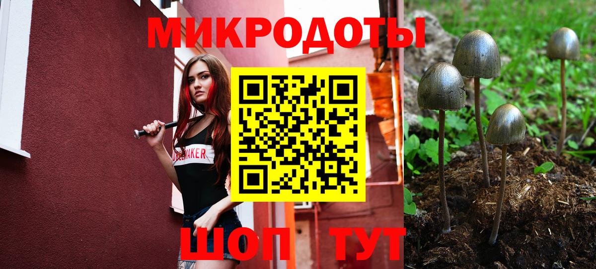 Псилоцибиновые грибы GOLDEN TEACHER  Вход с VPN  Мценск 